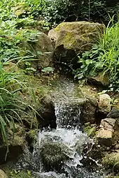 Bach­ursprung