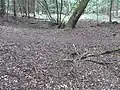 Durchlass Längsweg Tal