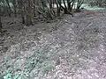 Unten angelangt