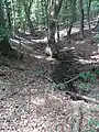 Zufluss über Weg