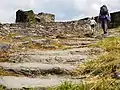 Gehauene Treppe