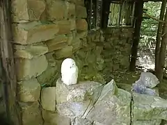 Schneeeule