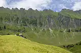 „Teufelskralle“