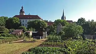 Blick über die Schrebergärten