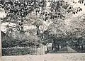 Der ehemalige Kurpark mit der Schützenburg