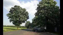 Schuldamm, früher einzige Verbindung zwischen Ahrensmoor-West und -Ost
