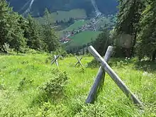 Sanierungsfläche im durch Wildschäden zerstörten alpinen Schutzwald