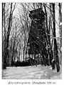 Ansicht des alten Sternbergturms.(Aufnahme vor 1914)