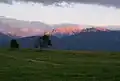Hochplatte im Abendrot