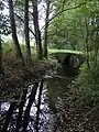 am Sachsenwald