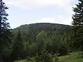 Schwarzenberg (Gahnsgipfel)
