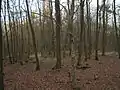 Der Gipfelgrat Richtung Heidkopf
