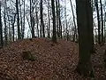 Der Hauptwall (Ostseite)