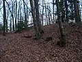 Der Vorwall