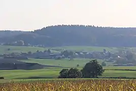 Schweich