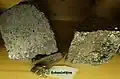 Schwefelkies