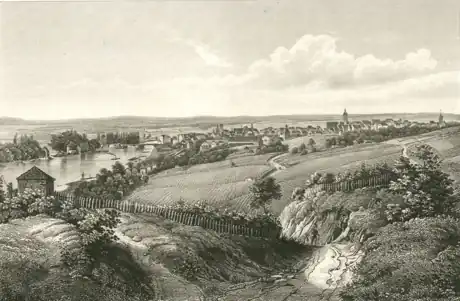 Weinbau oberhalb des Mains am Kiliansberg im Jahre 1847