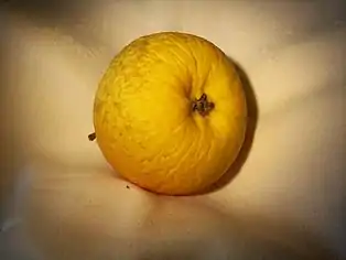 Schweizer Orangenapfel