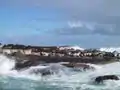 Duiker Island