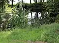 Vom Mühlenbach gespeister Löschwasserteich (im 15. Jahrhundert „Buehlen Poel“ genannt)