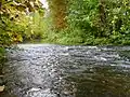 Seckach unterhalb von Adels­heim. Niedrig­wasser.