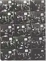 Aufnahmeserie bei der Konferenz 1930 in Den Haag