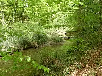 Der Seebach