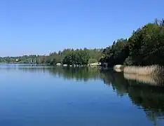 Seehamer See – Blick zum Ostufer