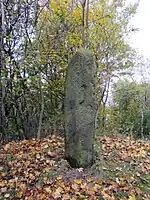 Der Menhir von Seehausen