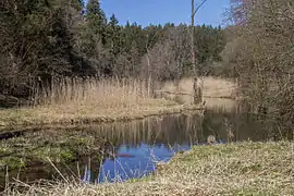 Seeweiher