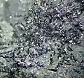 Dunkelgrau glänzende Selenkriställchen in Matrix aus der Absetzerhalde Lichtenberg, Ronneburg (Thüringen), Sichtfeld 5 mm