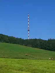 Bild des Objektes