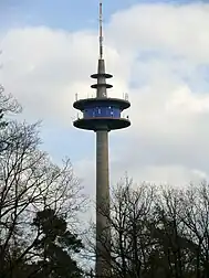 Bild des Objektes
