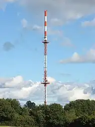 Bild des Objektes