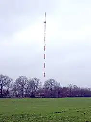Bild des Objektes