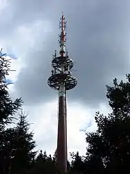 Bild des Objektes