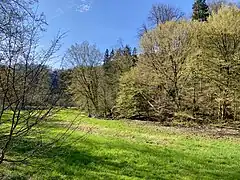 Sengbachtalaue unterhalb der Staumauer