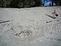 Ein Senktrichter im Seeboden an Pfingsten 2010; der See hatte zuvor die noch sichtbare Linie auf halber Höhe der Lehmwand erreicht, verschwand jedoch nochmals während einer Kaltwetterperiode bis Pfingsten.