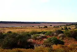 Serpentine Lakes (2011)