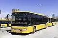 Setra S 416 LE business