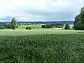 Ortsansicht von der Uprode her