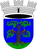 Wappen von Sevnica