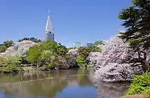 Das Gebäude vom Shinjuku Gyoen aus gesehen