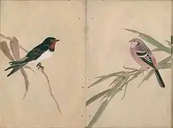 Vögel