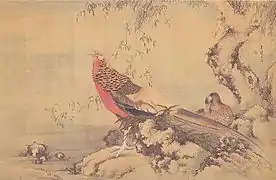 Vögel