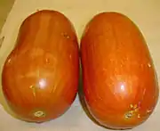Cassabanana
