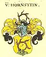Hornstein-Wappen aus Siebmachers Wappenbuch
