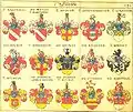 Wappen in Siebmachers Wappenbuch von 1605 (rechts unten)