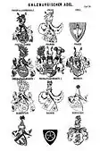 Gräfliches Wappen derer von Pranckh zu Pux in Siebmachers Wappenbuch des Salzburgischen Adels, 1883