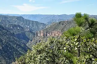 Die Sierra Madre Occidental in der Nähe der Kupferschlucht
